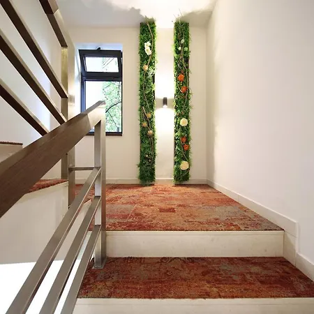 Guest house Platinum 4*